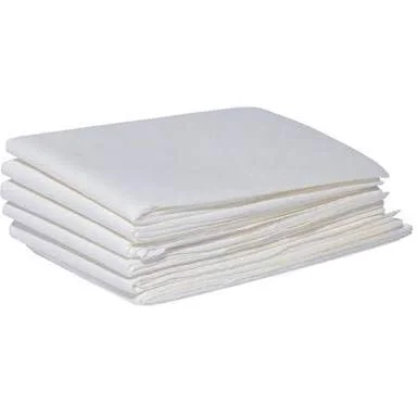 Disposable Bed Sheet (Pack of 10)